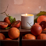 Orangery Refillable Candle (Standard Size)